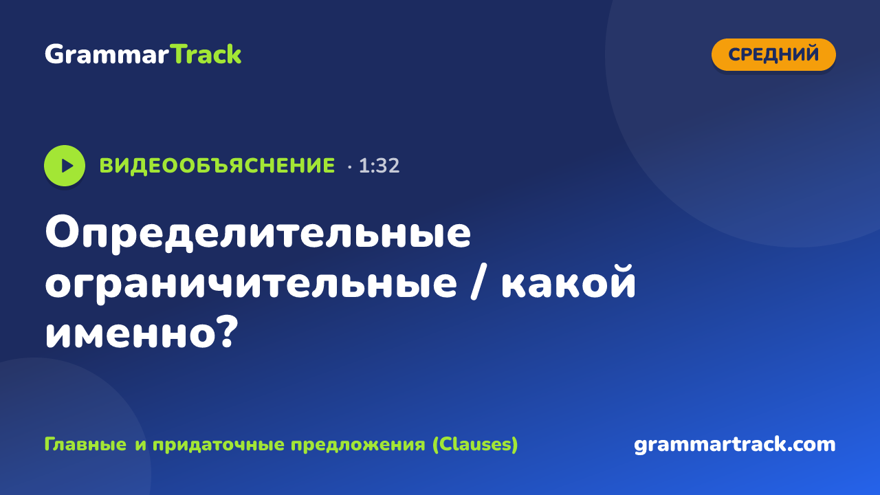 Определительные ограничительные / какой именно?