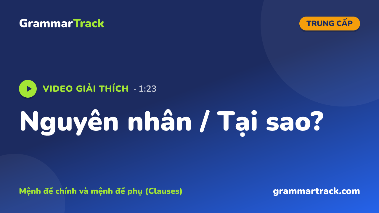 Nguyên nhân / Tại sao?